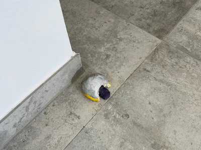 Die Bäckerei hat schon geschlossen