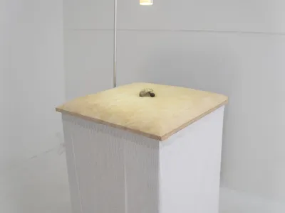 Als Vater fände ich die Made auch schön