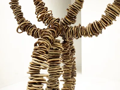Trintiy in Knots