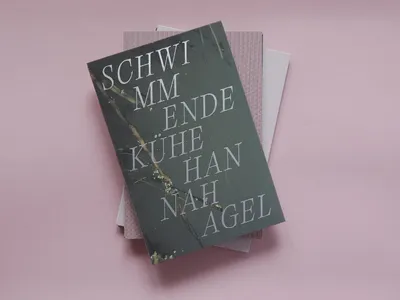 Schwimmende Kühe